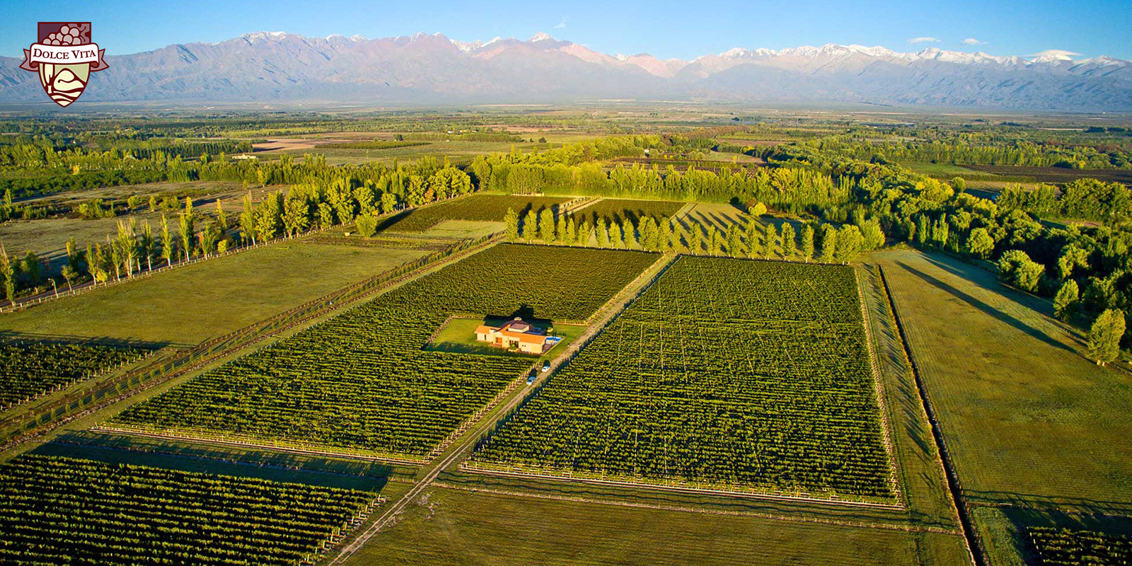 VDV Vineyards